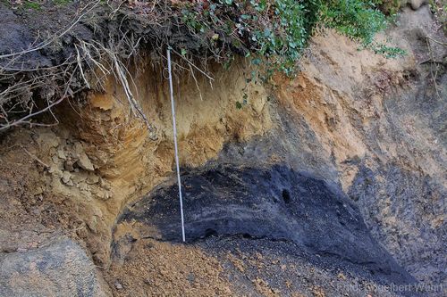 Flöz Wasserfall